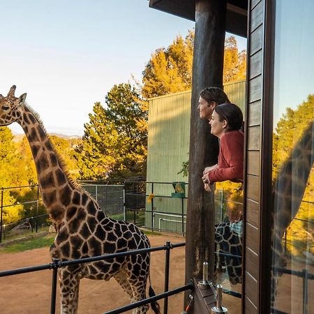 Jamala Wildlife Lodge Canberra Exteriör bild