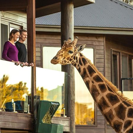 Jamala Wildlife Lodge Canberra Exteriör bild