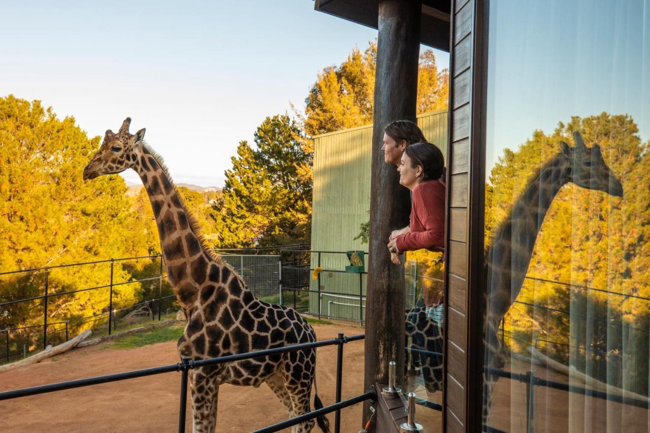 Jamala Wildlife Lodge Canberra Exteriör bild