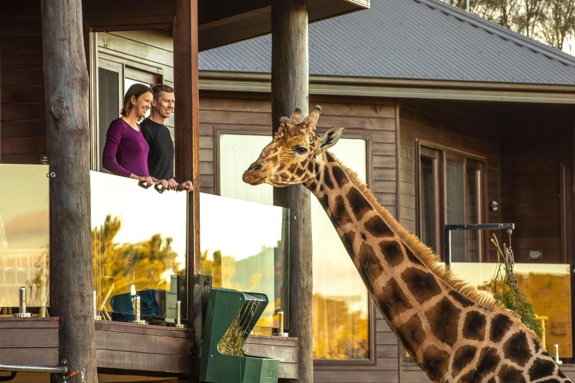 Jamala Wildlife Lodge Canberra Exteriör bild